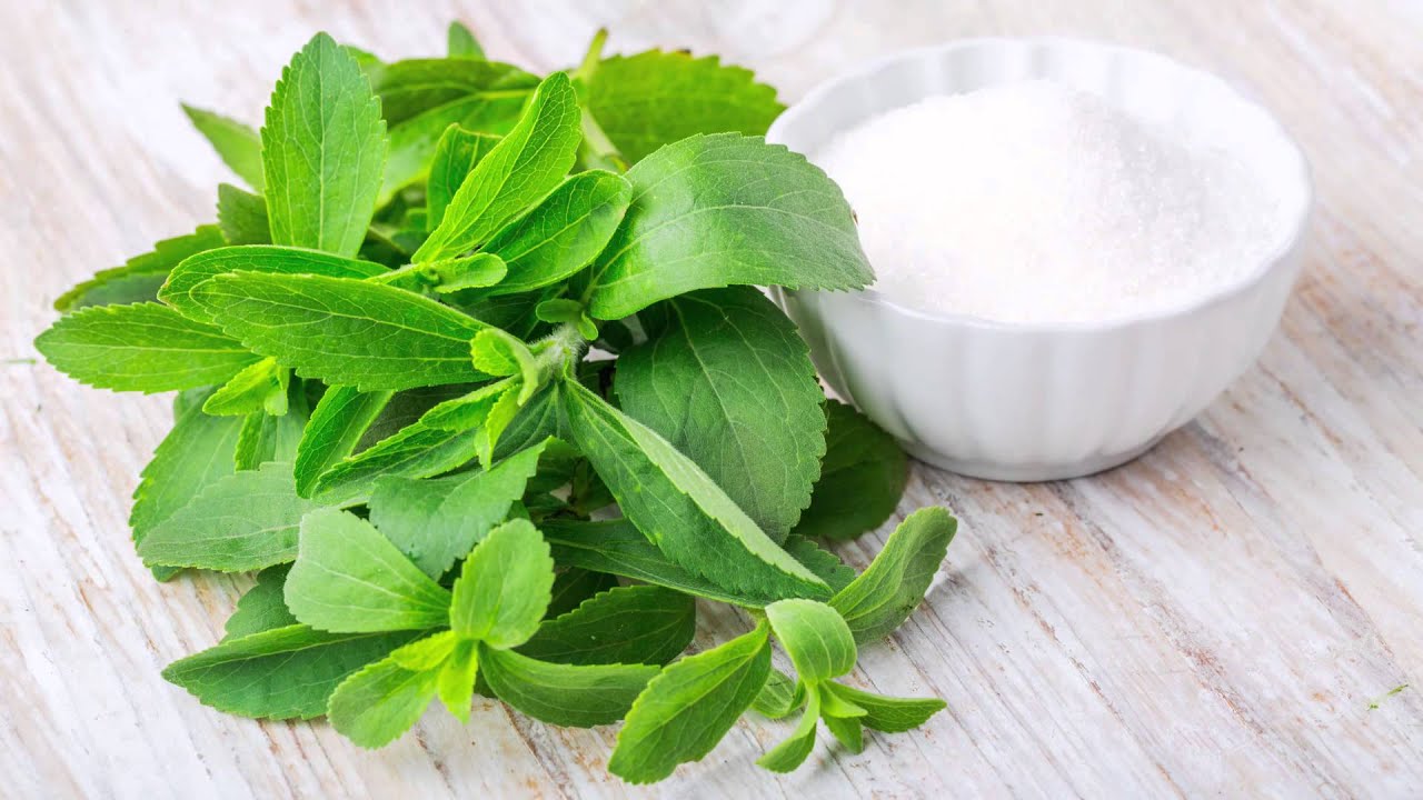 Image result for stevia