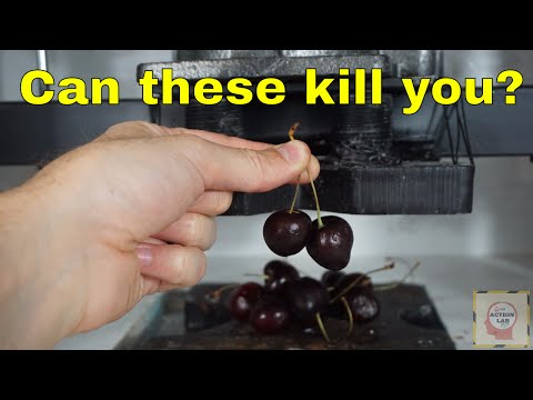 Video: What Are Cherry Pits Useful For?