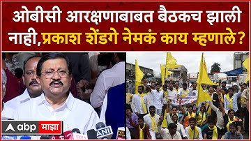 Prakash Shendge : ओबीसी आरक्षणाबाबत बैठकच झाली नाही,प्रकाश शेंडगे नेमकं काय म्हणाले?