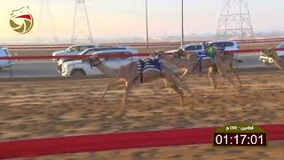 سباق الفطامين - ميدان سيف العرب 11-5-2024 ش12 متوله بـ أحمد محمد كراز المهيري 2:15