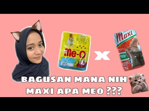 Video: Apakah Makanan Kucing Alami Dan Makanan Kucing Holistik Sama?