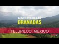 ALMOLOYA DE LAS GRANADAS DESDE EL AIRE || CALIDAD 4K