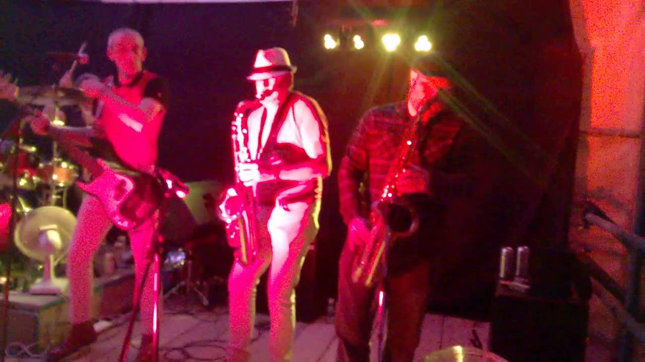 The Panic Report - Tom Hark @ Bill Quay Festival