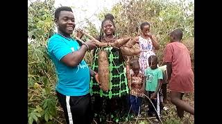 #JoyousCharity & Orphans expressed total #Satisfaction with the #success of the Cassava #Project❤️🙏