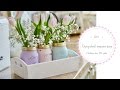 How to chalk paint Mason jars using pastel coloured chalk paint. Mothers day DIY.