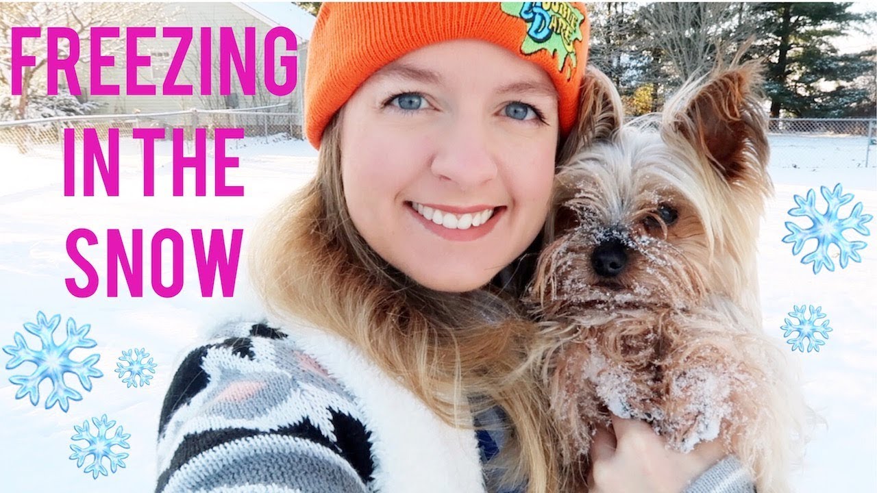 tyler rugge social blade Playing In The Snow & Feeding Birds