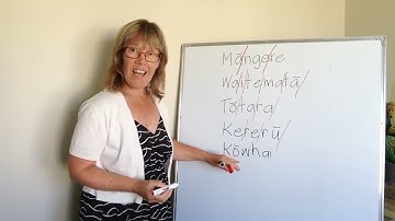 Macrons in te reo Māori