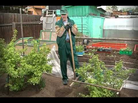Во саду ли, в огороде 01 06