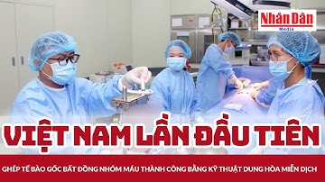 Việt Nam lần đầu tiên ghép tế bào gốc bất đồng nhóm máu thành công bằng kỹ thuật dung hòa miễn dịch