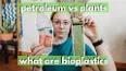 The Intriguing World of Bioplastics: A Sustainable Alternative to Traditional Plastics ile ilgili video