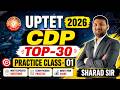 UPTET 2026 CDP TOP-30 Questions | Practice Class-01 | (18 JUNE 2026; 12:00 PM)