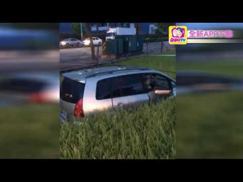 花蓮車禍意外 休旅車真的"犁田"