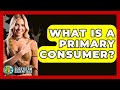 What Is A Primary Consumer? - Ecosystem Essentials