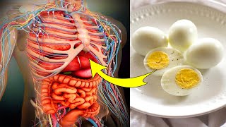 अंडे खाने के फायदे जो कभी सुने नहीं होंगे लेकिन साथ में सावधानिया भी है जिन्हे ignore ना करे