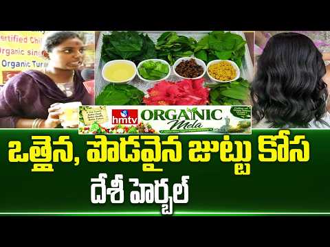 ఒత్తైన, పొడవైన జుట్టు కోసం దేశీ హెర్బల్  | hmtv Organic Mela 2026 |hmtv - HMTVNEWS