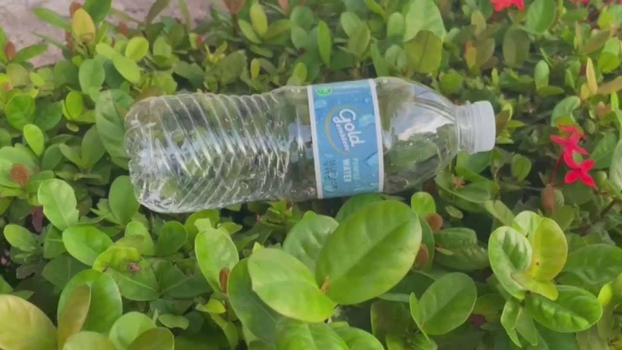 The potential dangers that plastic poses to our environment, health