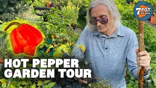 2021 Hot Pepper Garden Tour Part 2 (Walking the Pepper Path) by 7 Pot Club 10,018 views 2 years ago 15 minutes