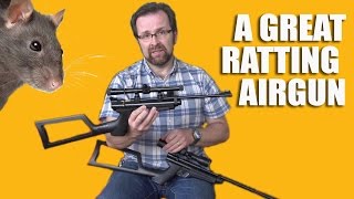 Great Ratting Airgun screenshot 4