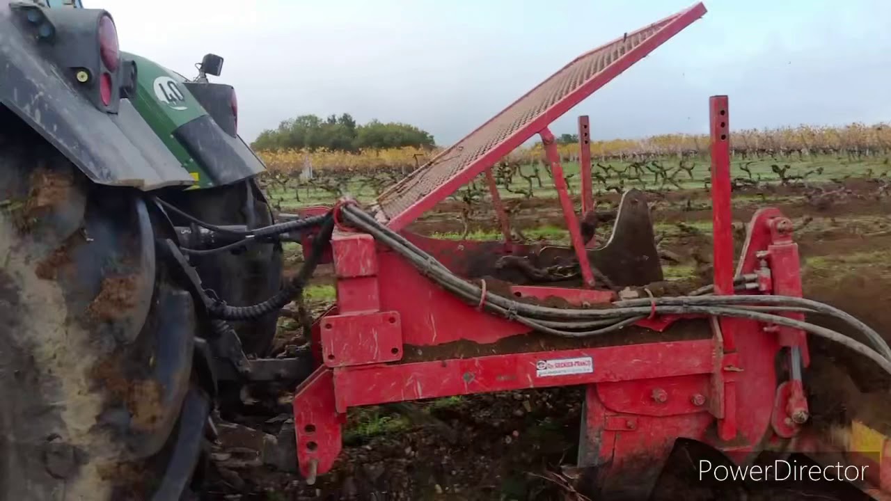 Arrachage vigne en Anjou