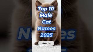 Top 10 Male Cat Names 2025 🐾😺 | Part 4 #Shorts