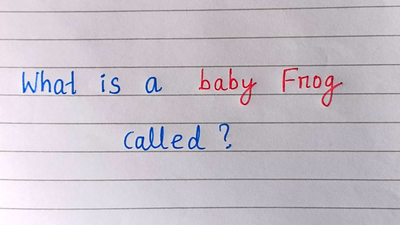 What is a baby frog called ?