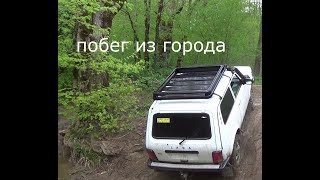 видео: Слиняли из города. Прокатились по лесу. Ласса и сафарь 500. В лесу на карантине. картинка: Слиняли из города. Прокатились по лесу. Ласса и сафарь 500. В лесу на карантине.