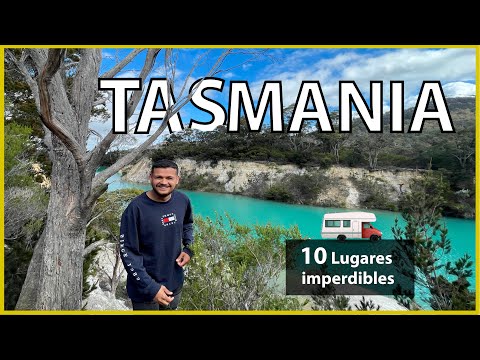 Vídeo: He de visitar Tasmània?