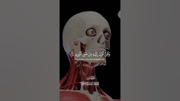 ولَقَد خلقنَا الإنسانَ ونَعلَمُ ما تُوَسوِسُ بِه نفسُه | القارئ إسلام صبحي #تلاوة_خاشعة