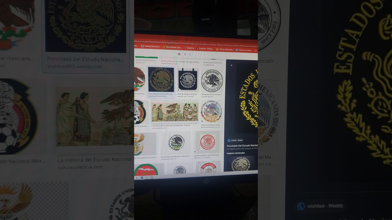 prueba de impresión evolis dualys 3