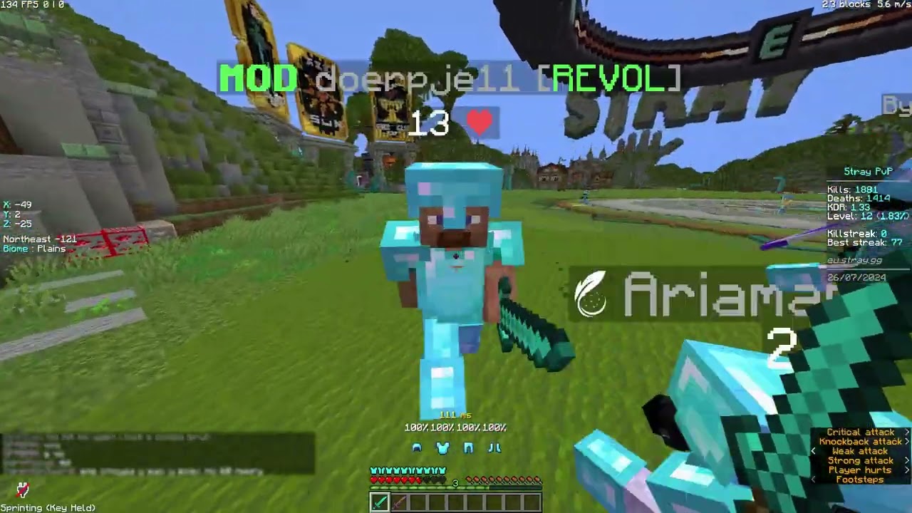 POV your trying to 1v1 in Stray PvP