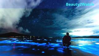 Glowing Beaches (Bioluminescent beaches)  around the WORLD