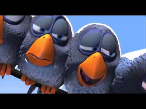 stupid-blue-birds-|-funny-animals