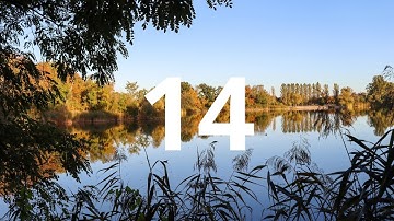 14 Second Countdown Timer With Alarm Sound At the End(Simple Beep)