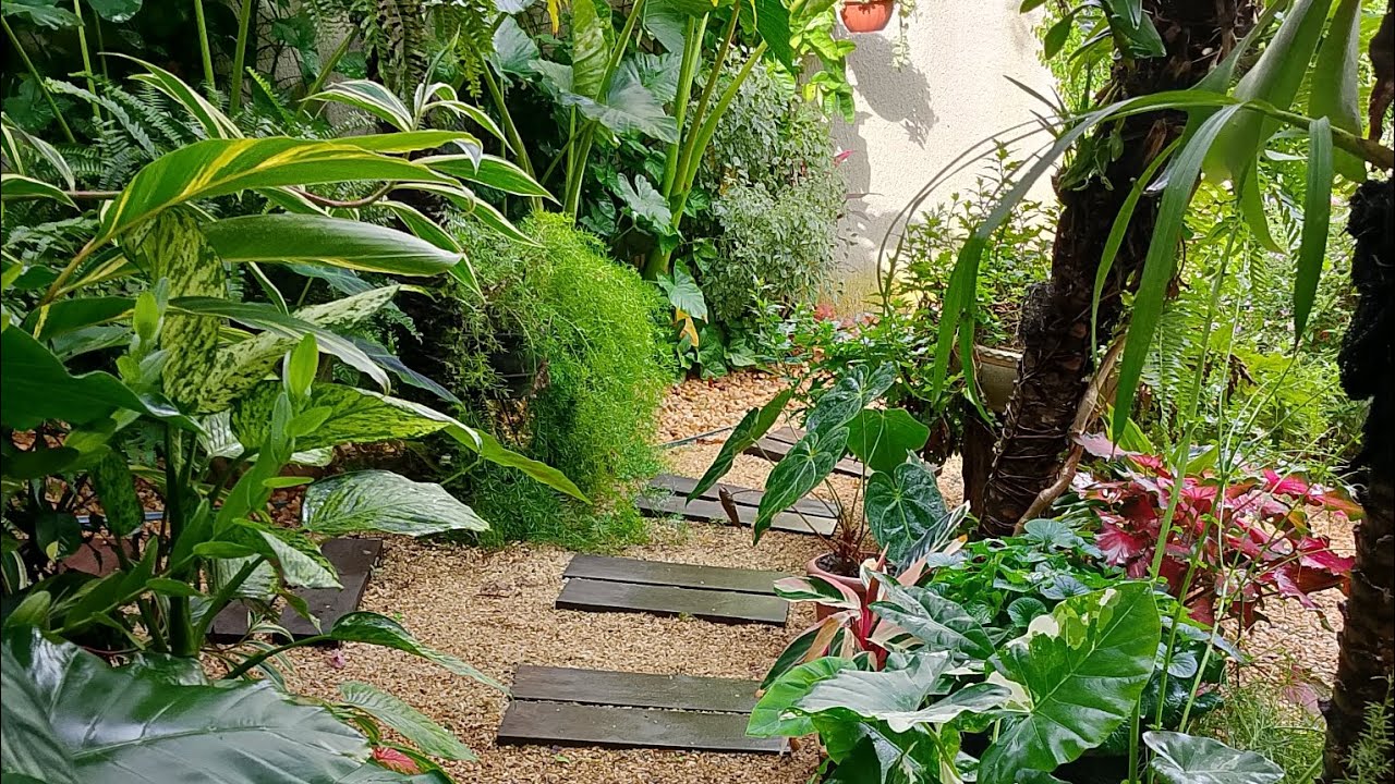 Parede linda de pratos, passeio no jardim da frente,e uma paisagem linda 🏡🌱🌿🌷🌺