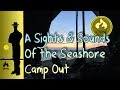 a sights & sounds of the seashore camp out