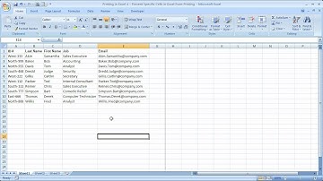 Printing in Excel 4 - Prevent Specific Cells in Excel from Printing
