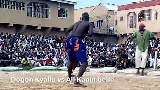 Ali Kanin Bello, Yabuge Dogon Kyallu A Kano Damben Mota 2017