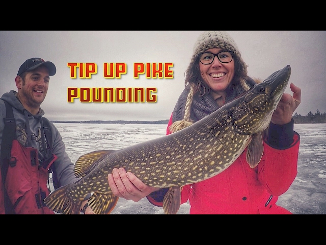 Tip Up Ice Fishing Tricks for Pike - LOTS OF FISH CATCHES 