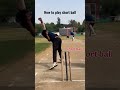 How to play short ball cricketshorts badrupaze cricket totalsport