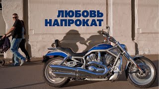 : Harley Davidson V-rod VRSCA 2003 .