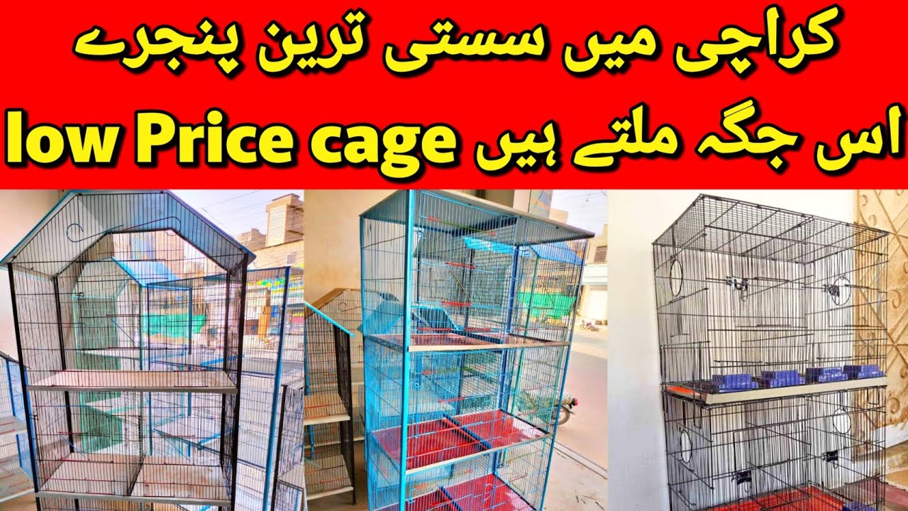 Saste Or Low Cost Cage For Karachi Cages Available In Karachi YouTube