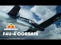 The Extremely Rare Chance Vought F4U-4 Corsair | The Flying Bulls