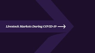 Livestock Markets During COVID-19