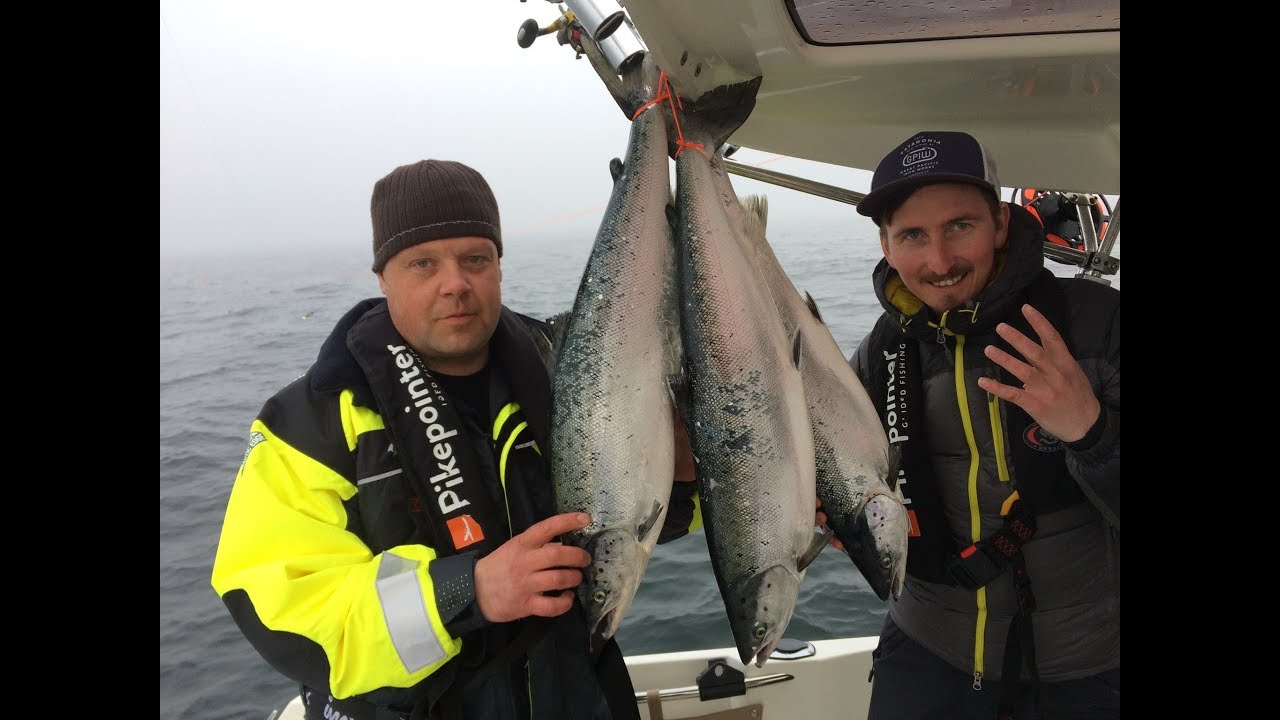 Pikepointer - Ahvenanmaan viitostärppi!