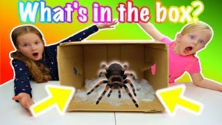 WHAT'S IN THE BOX CHALLENGE with my sister