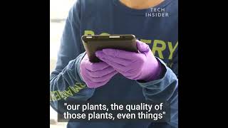 İç Mekan Çiftçiliğinin Geleceği Pestisit Ve Zirai Kimyasal Içermeyen Gıda