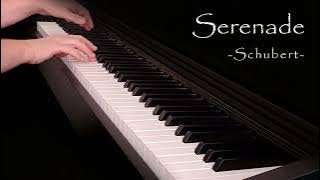 Schubert - Serenade