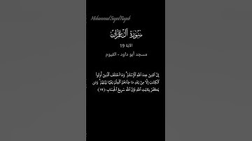 سورة آل عمران  - الآية 19