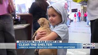 Full Still time to get a new best friend from Lubbock Animal Services News