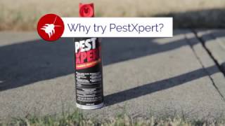 Why You Should Use PestXpert Foaming Insect Killer Spray